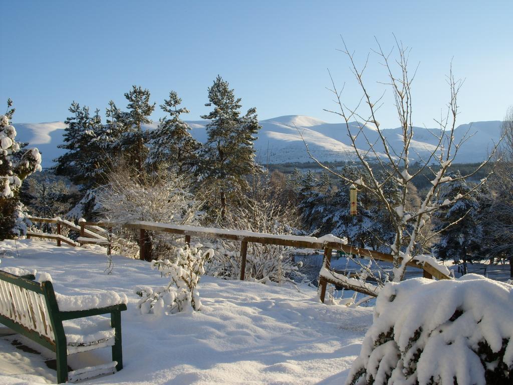 Cairngorm Lodge Youth Hostel Loch Morlich Exterior photo